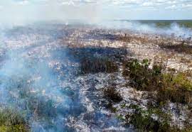 Áreas naturales de Quintana Roo, en riesgo por intenso calor