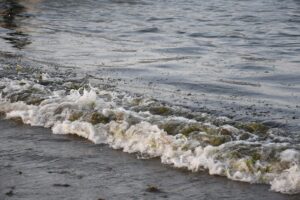 Derrame de hidrocarburo en el Golfo de México tiene tres fuentes, revela Secretaría de Marina