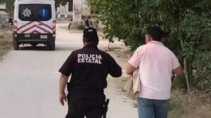 Abuelito fallece tras brutal ataque de abejas dentro de su casa en Yucatán