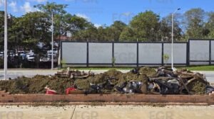 Incineran más de 940 kilos de narcóticos en Nayarit