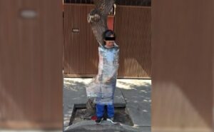 Envuelto para regalo: Vecinos emplayan a presunto ladrón de bicicleta contra un árbol en la CDMX