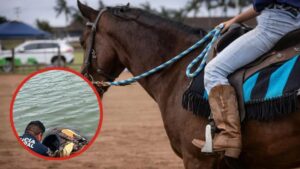 Desaparece jinete tras caer al agua en Huichapan; caballo fallece